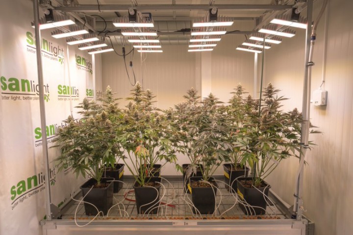 DSCF9663 anzeige 800x533